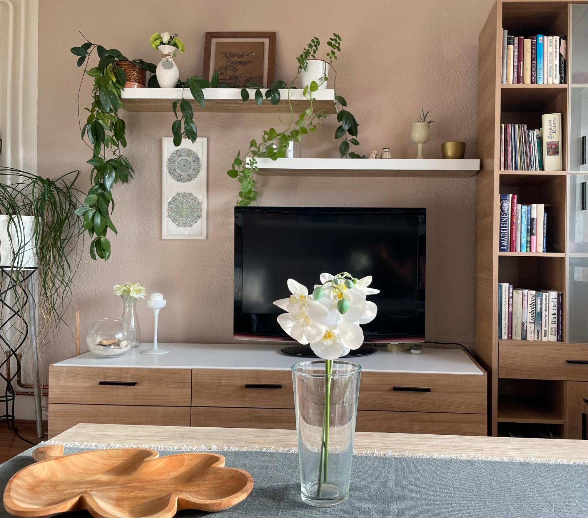 Apartman Luhacovice * 鲁哈科维斯